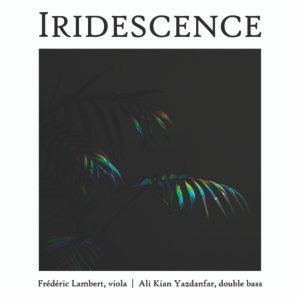 Iridescence